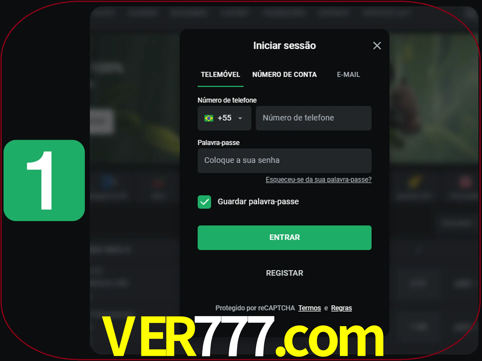 Clique no botão Entrar.